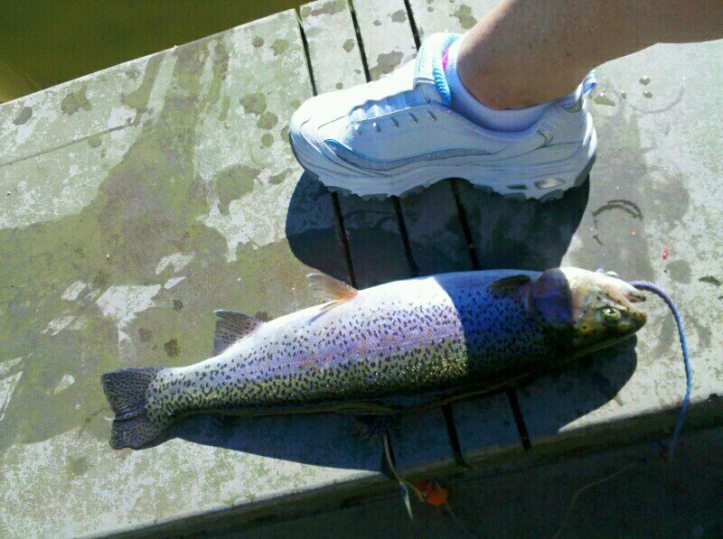 399889_10150500302068031_504258030_8891090_511572241_n