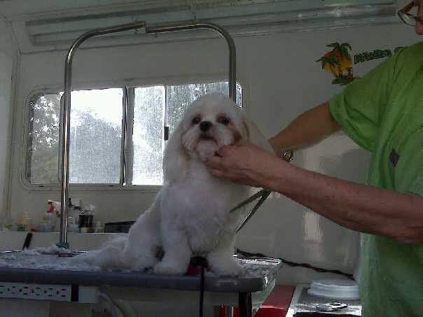 18061_235019193030_7133218_n