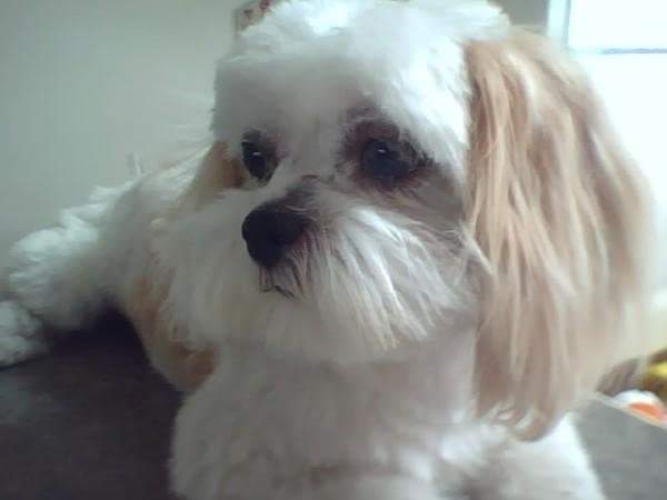 1929201_71877698030_6846360_n