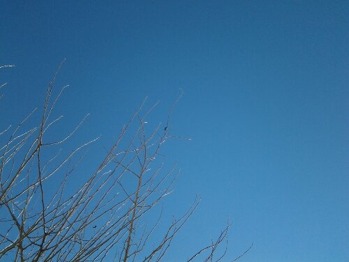 20130129_135825.jpg image