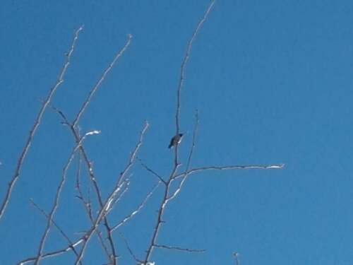 20130129_135832.jpg image