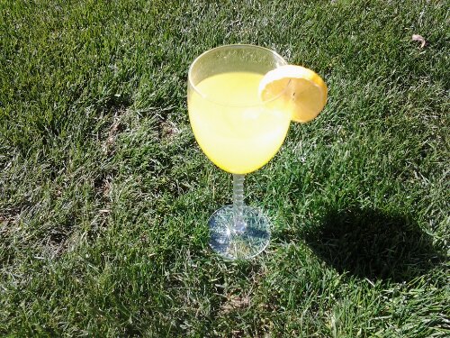 20130301_132838.jpg image