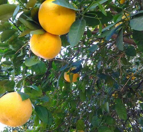 PicsArt_1363212492706.jpg image