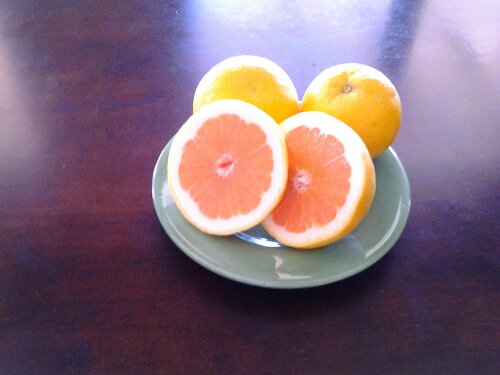 PicsArt_1363212708725.jpg image