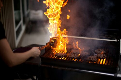 grilling_by_thoughtless4ever-d415o2g.jpeg image