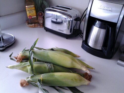 PicsArt_1371325706865.jpg image