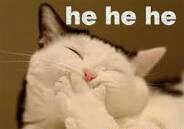 2013-09-08-15-58-37--884784675-1.jpg image