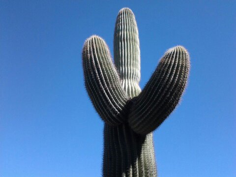 20131025_111408.jpg image