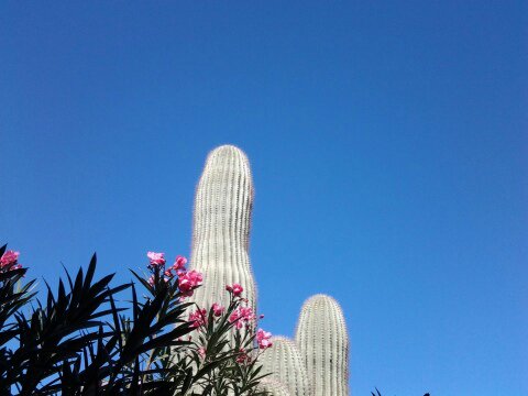 20131025_111501.jpg image