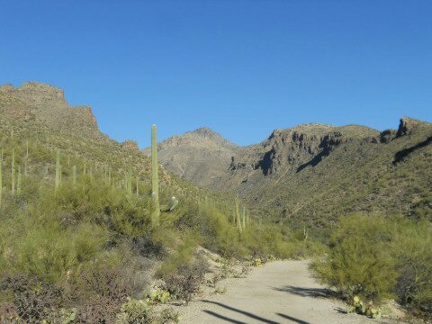 412914_10151036089284058_1449304552_o.jpeg image