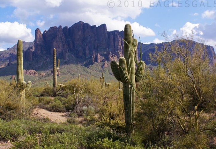 59db490f052918b71002648dfd07abbf-1.png image