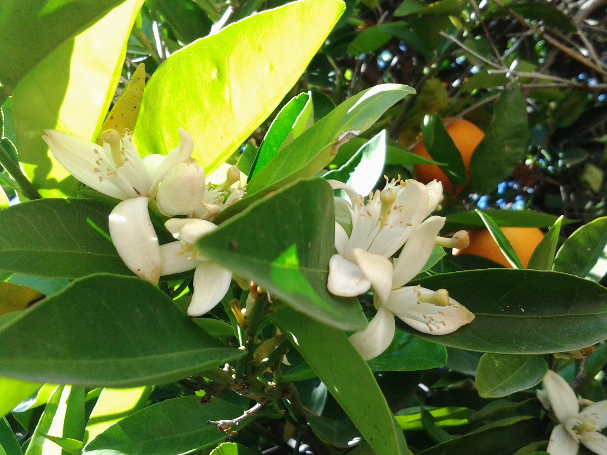 wpid-20140314_140239.jpg image