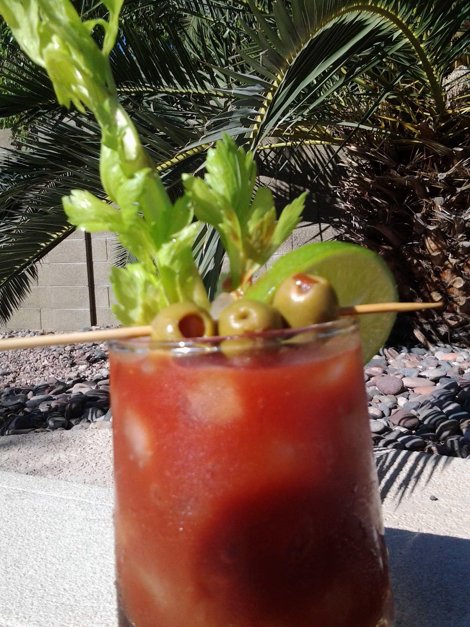 wpid-20141115_111404.jpg image