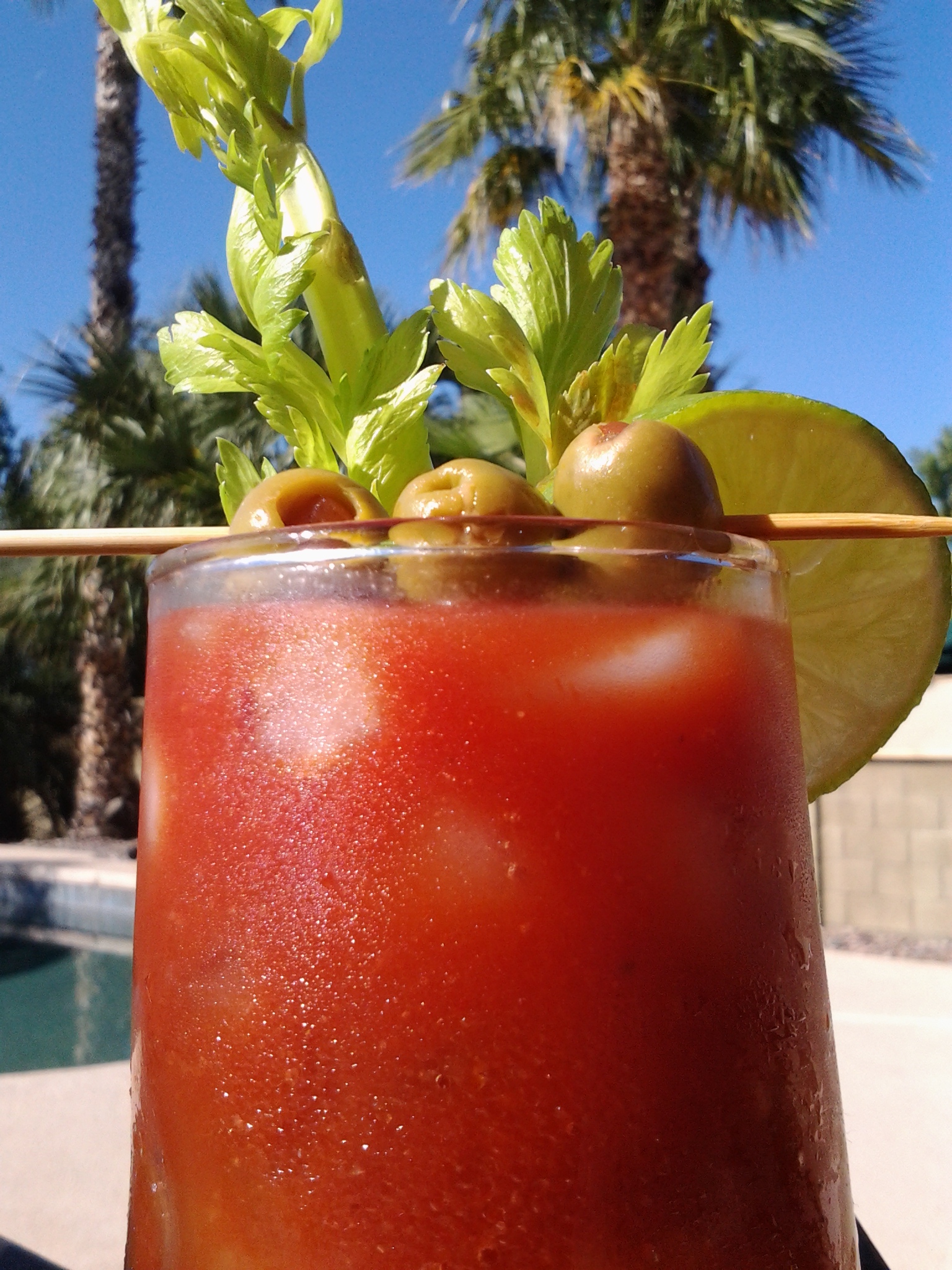 wpid-20141115_111439.jpg image