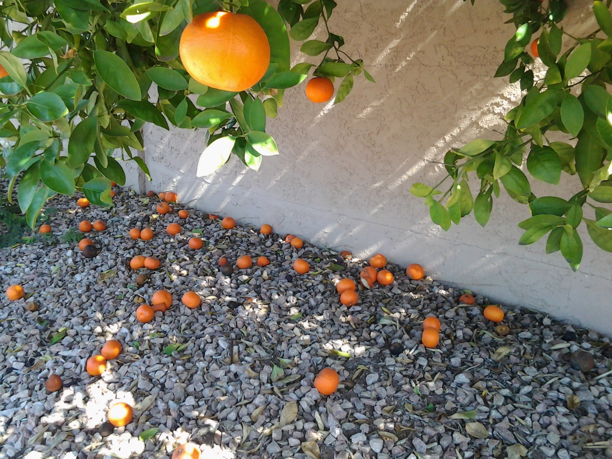 wpid-20150204_130253.jpg image