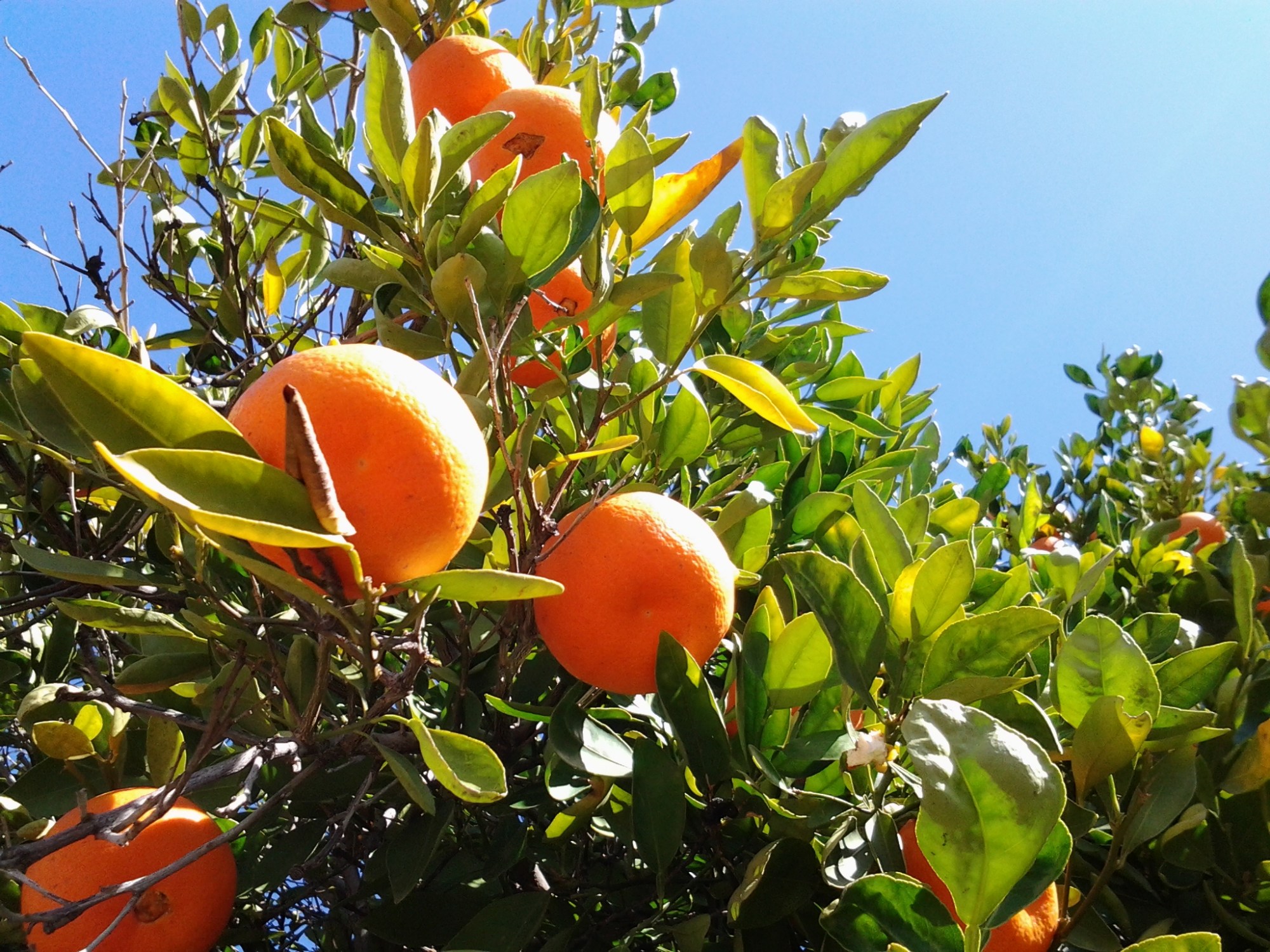 wpid-20150204_130329.jpg image