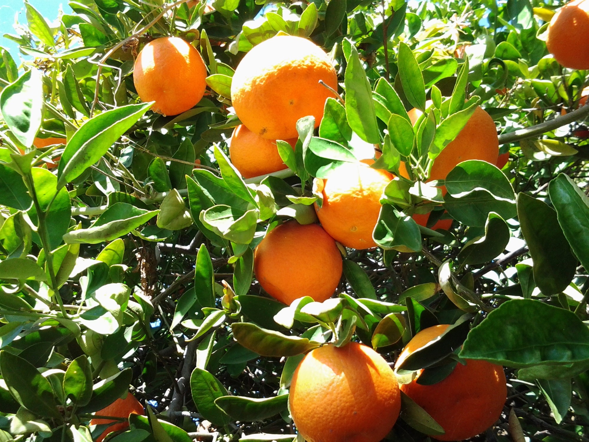 wpid-20150204_130353.jpg image