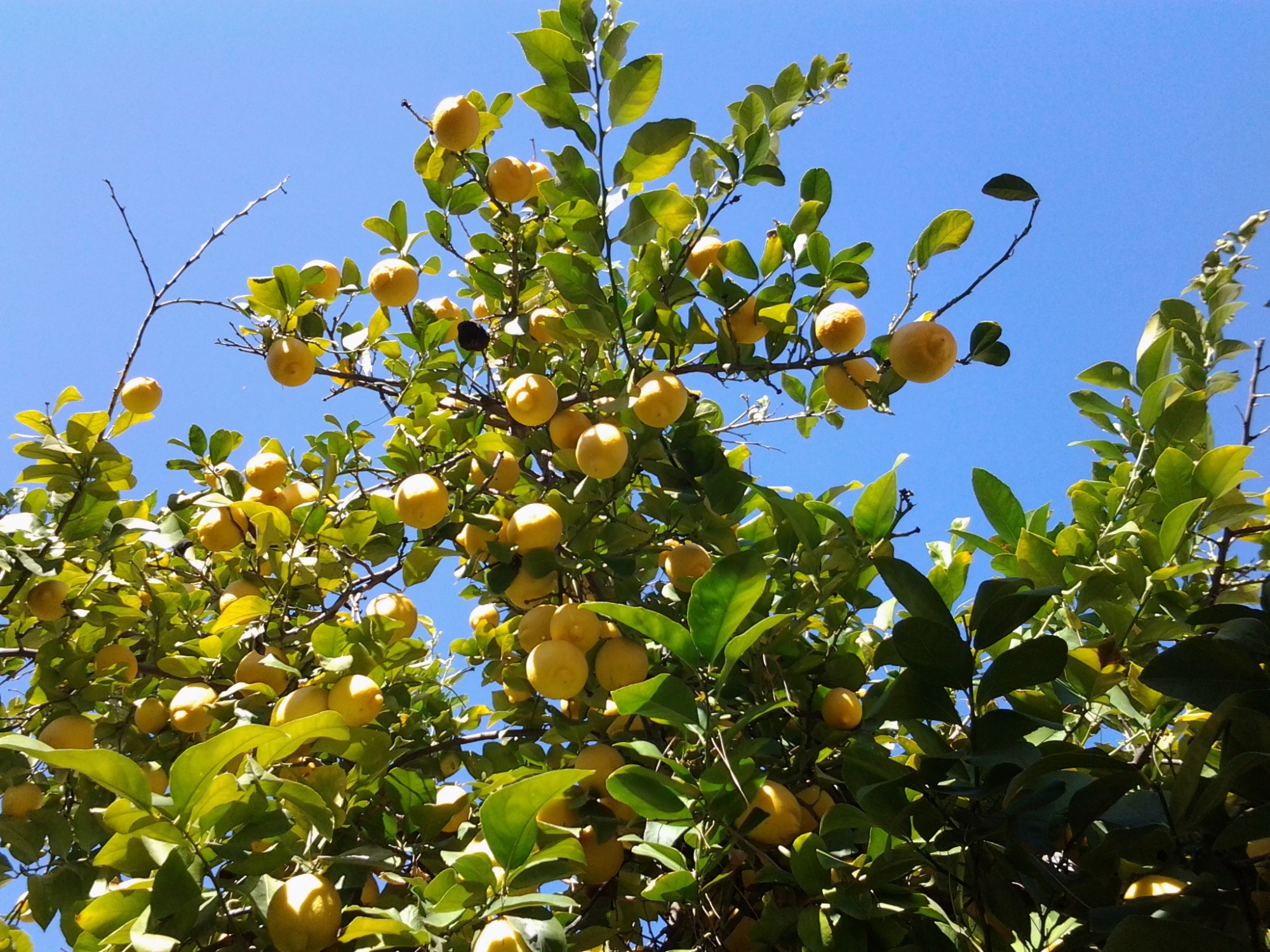 wpid-20150204_131515.jpg image