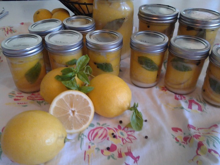 20150205_132500.jpg image