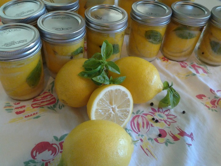 20150205_132558.jpg image