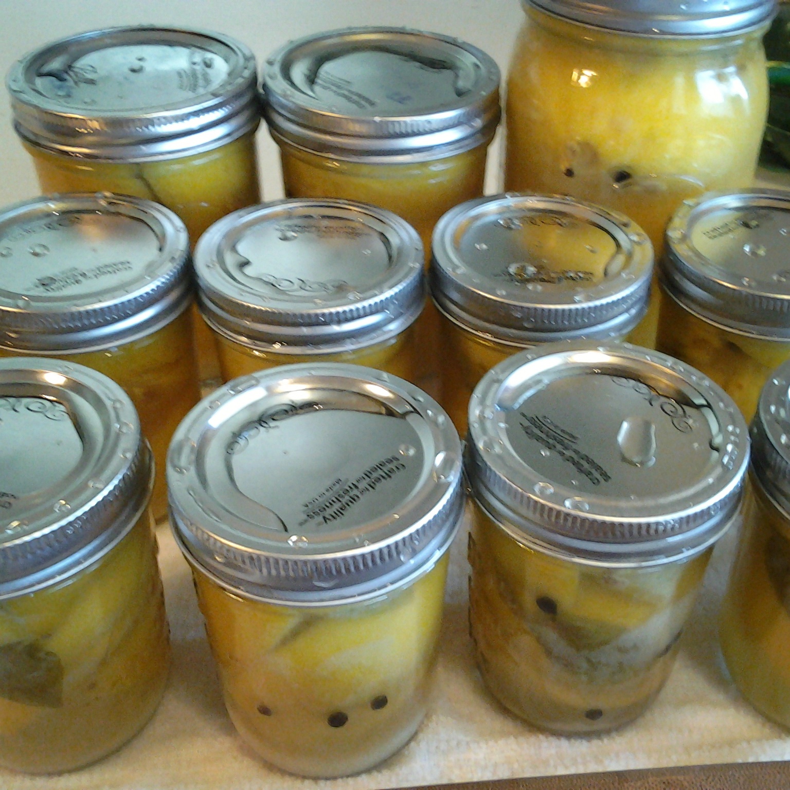 wpid-img_20150210_133032.jpg image