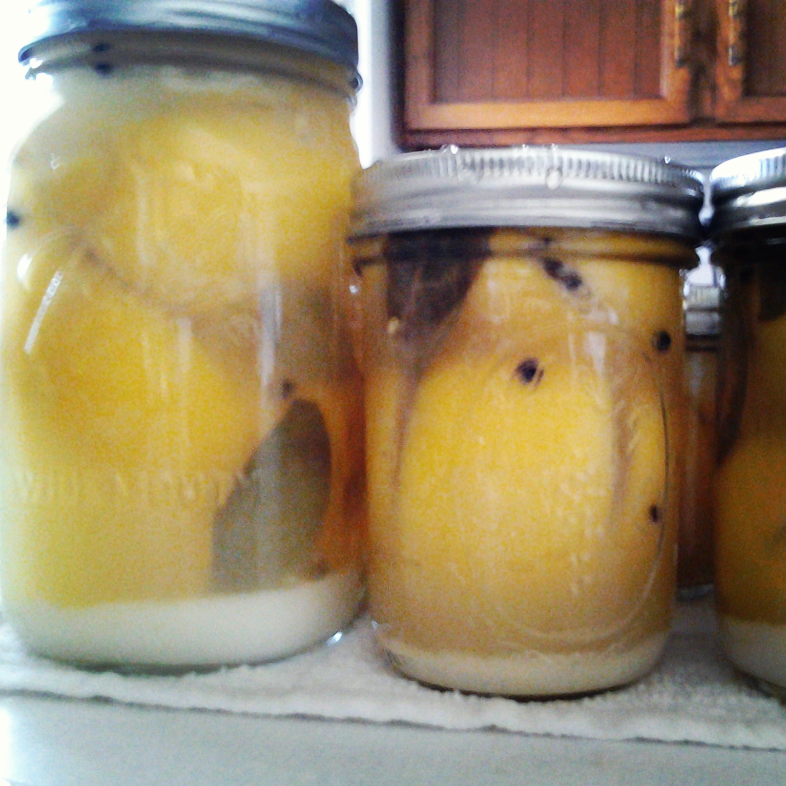 wpid-img_20150210_133210.jpg image