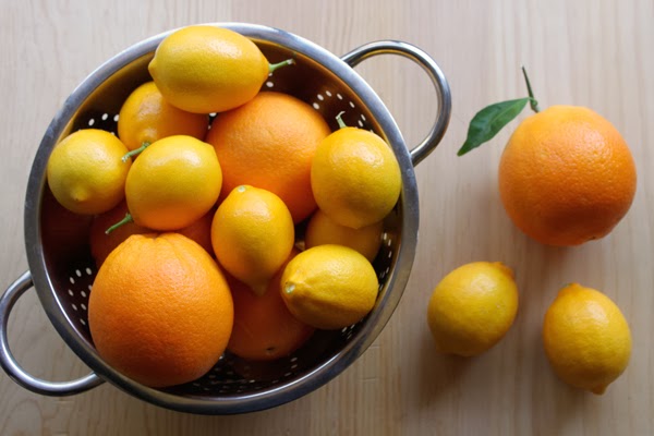 Navel-oranges-and-Meyer-lemons.jpeg image