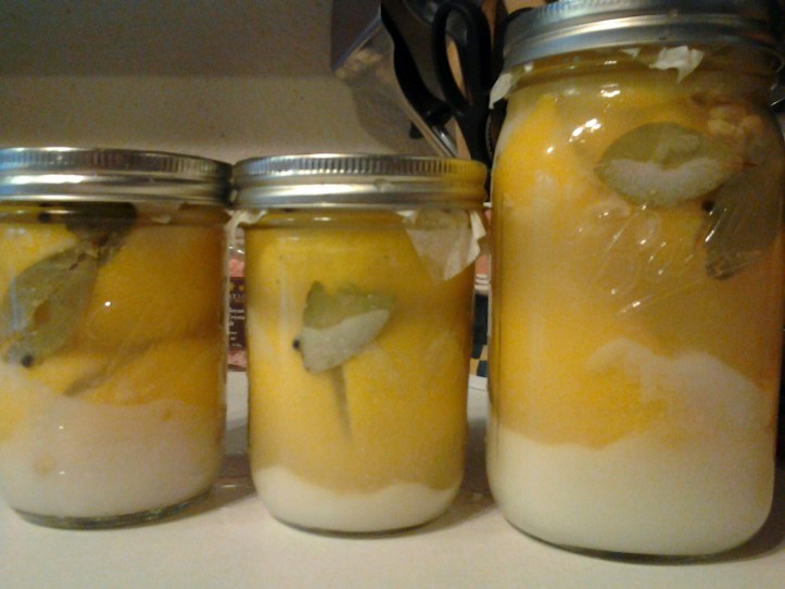 PicsArt_1422838937173.jpg image