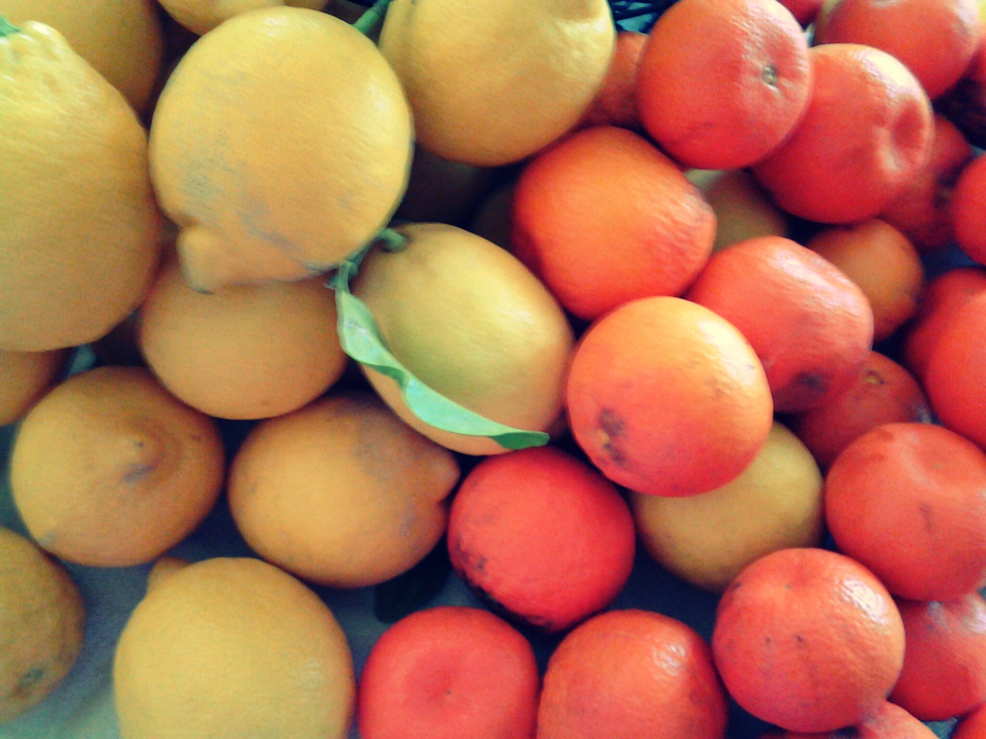 wpid-picsart_1423082398995.jpg image