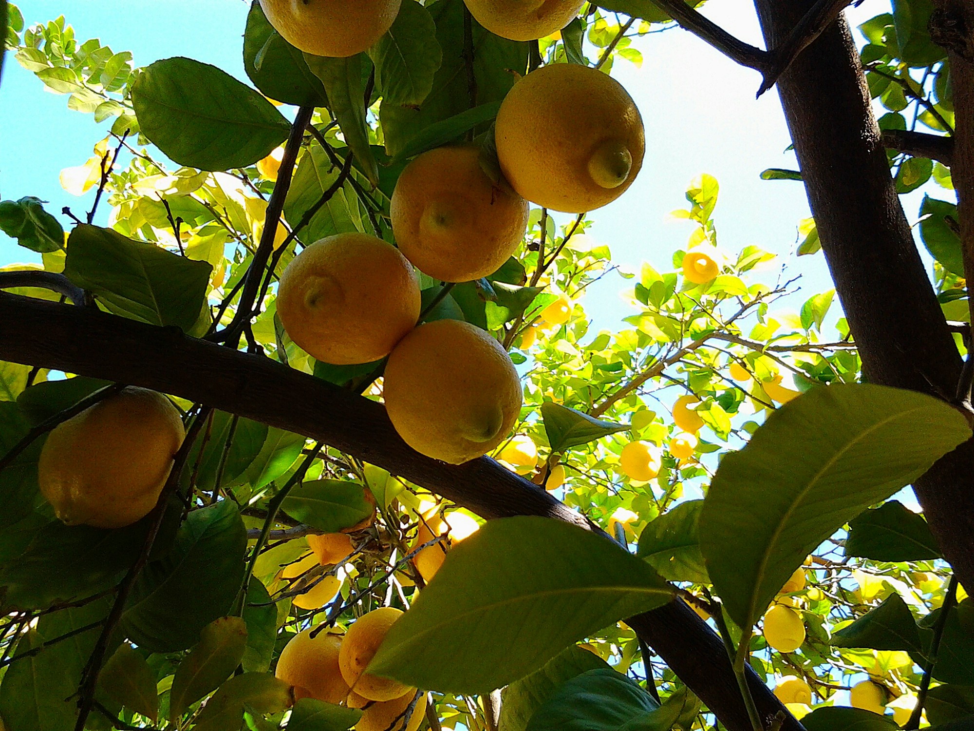 wpid-picsart_1423083706056.jpg image