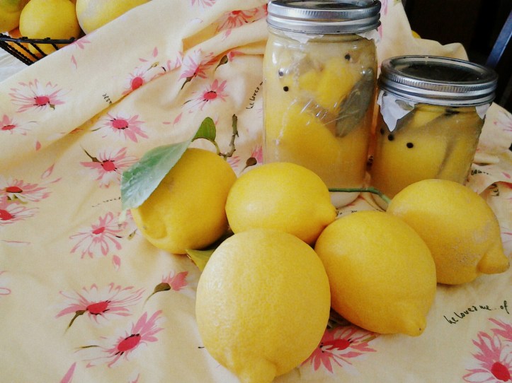 PicsArt_1423100137837.jpg image