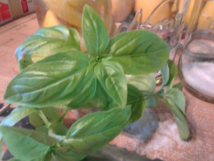 PicsArt_1423165876901.jpg image