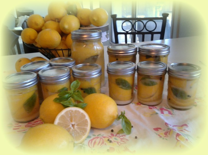 PicsArt_1423168214899.jpg image