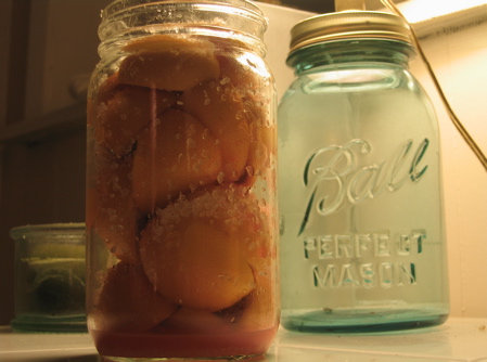 preservedoranges.jpeg image