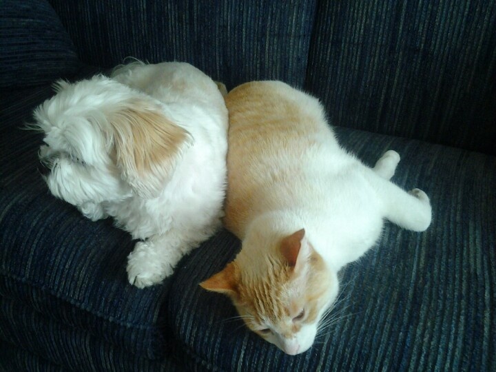 accfb3e039ecbede683eb7249df3705a.jpeg image