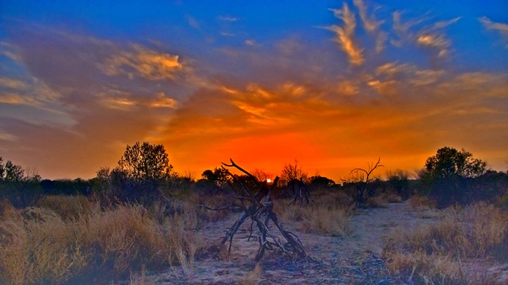 super-moon-12782-2011-03-19-sunset-ii-blog.jpeg image