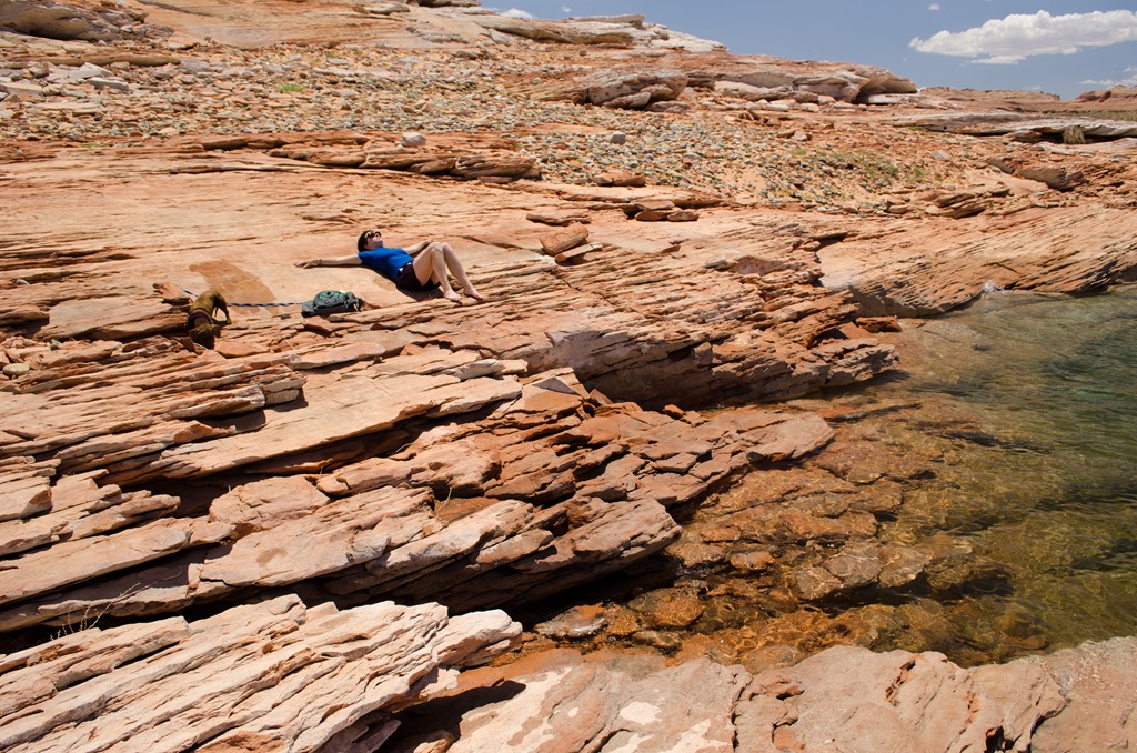wpid-swimming-at-lake-powell-1-of-3.jpeg image