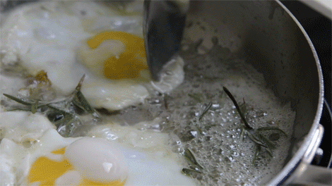 wpid-basting-eggs-1.gif
