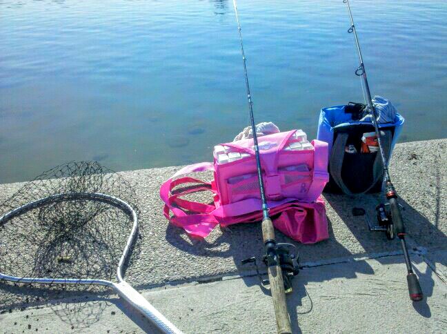 wpid-fishing_set_up_by_dawn_aka_spitfire-d5ni53p.jpeg image