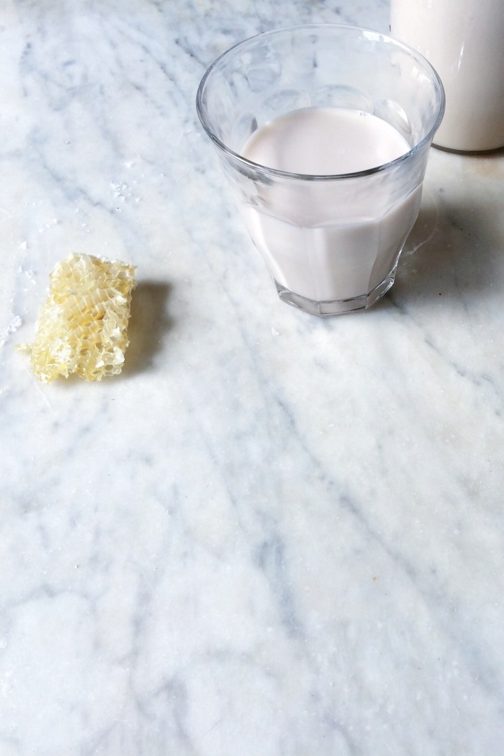 Pecan Milk | for the love of the south 