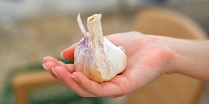 wp-1442600368487 image