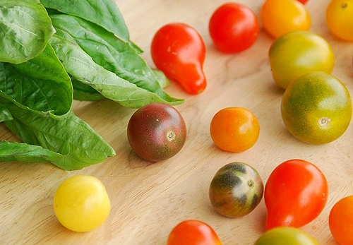 wp-1443127894846 image