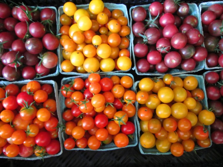 wp-1443127939795 image