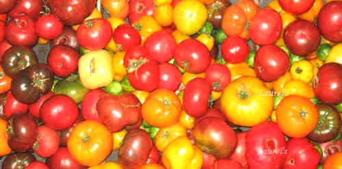 wp-1443396048495 image