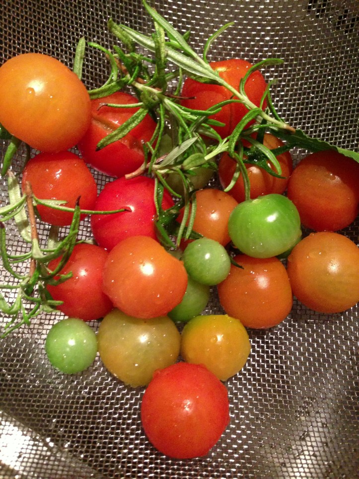 wp-1443460790628 image