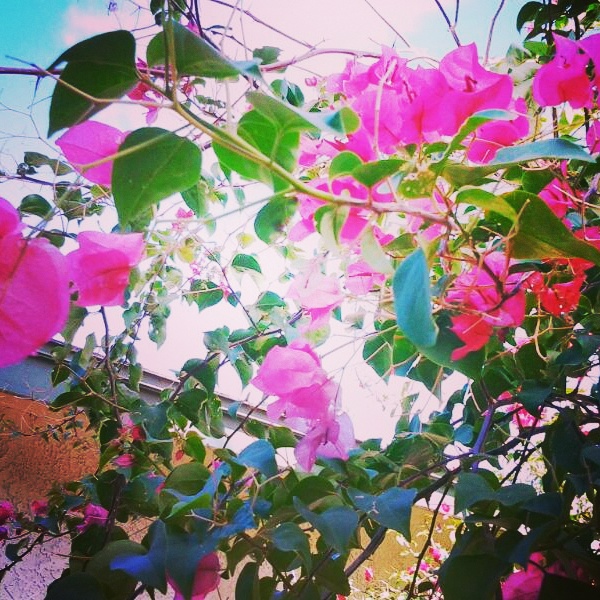 wp-1446134067192 image