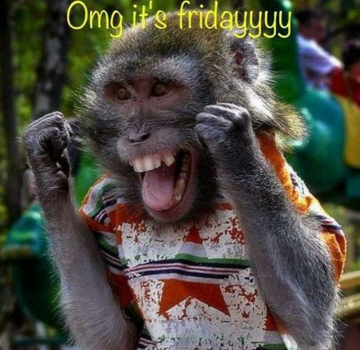 wp-1446134221188 image