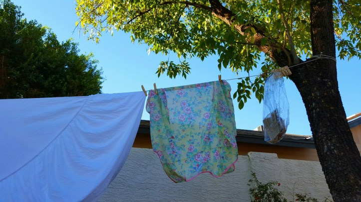 wp-1447025732236 image