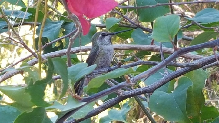 20160131_114612.jpg image