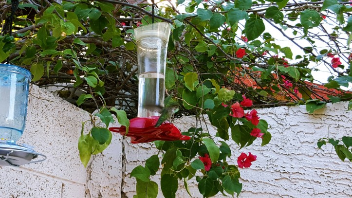 PicsArt_01-29-01.38.06.jpg image